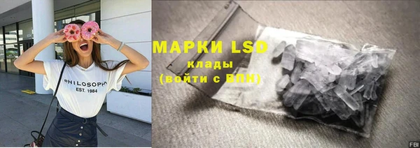 хмурый Каменногорск