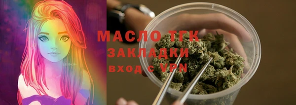 мдпв Каменка