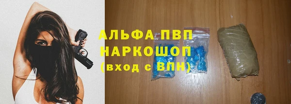 хмурый Каменногорск