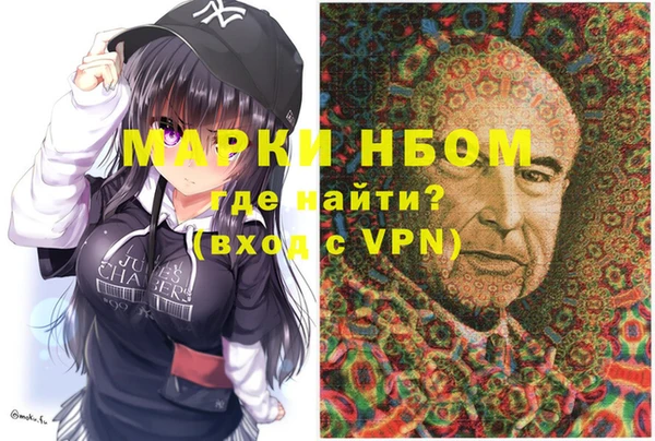 хмурый Каменногорск