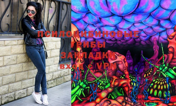 хмурый Каменногорск