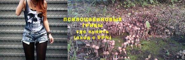 хмурый Каменногорск