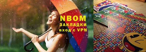мдпв Каменка