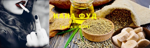 мдпв Каменка