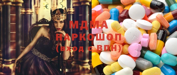 мдпв Каменка