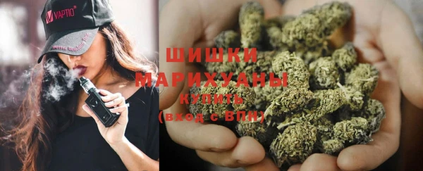 мдпв Каменка