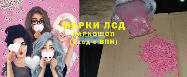 мдпв Каменка