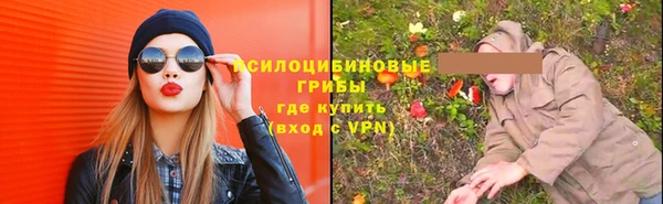 хмурый Каменногорск