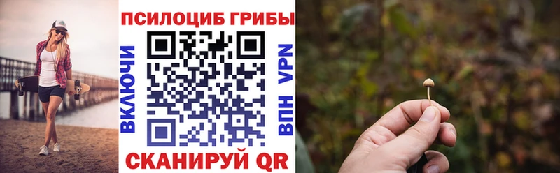 Псилоцибиновые грибы ЛСД  Купить закладки  Алзамай 